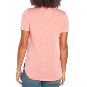 T-SHIRT FEMININA ADULTO V-NECK TEE STRAWBERRY ICE – GAP